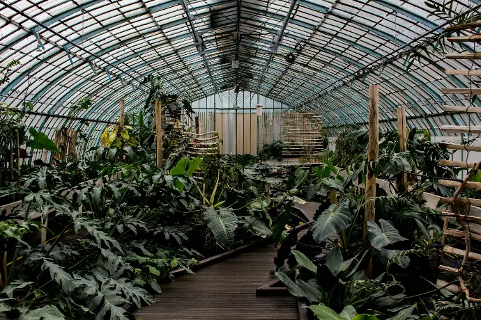 green plants